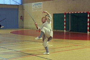 L'épée démontrée par le Maître